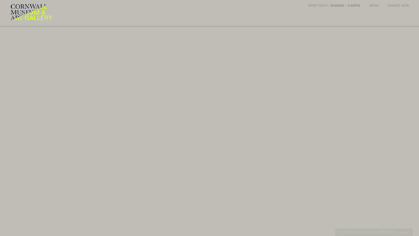 Screenshot of the The Royal Institution Of Cornwall website