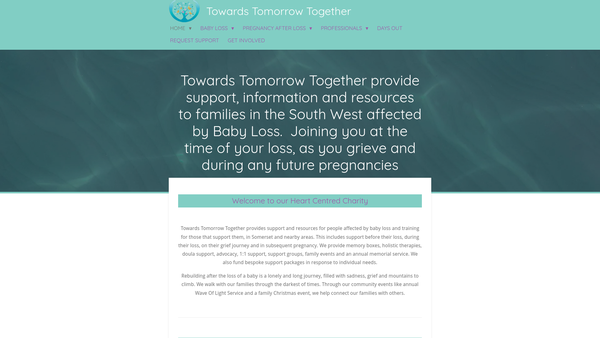 Screenshot of the Towards Tomorrow Together website
