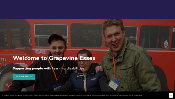 Screenshot of the Grapevine Essex website