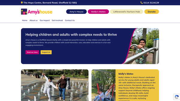 Screenshot of the Amy's House website