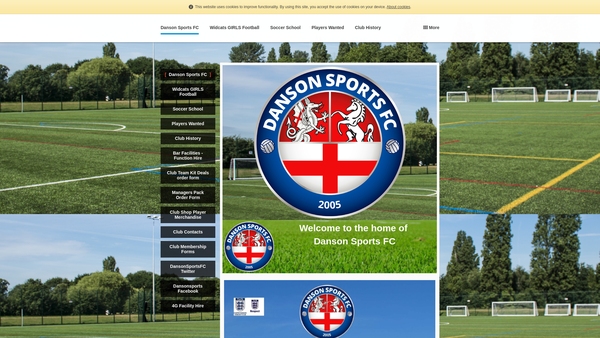 Screenshot of the Danson Sports Limited website