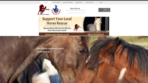 Screenshot of the Moo-Haven website