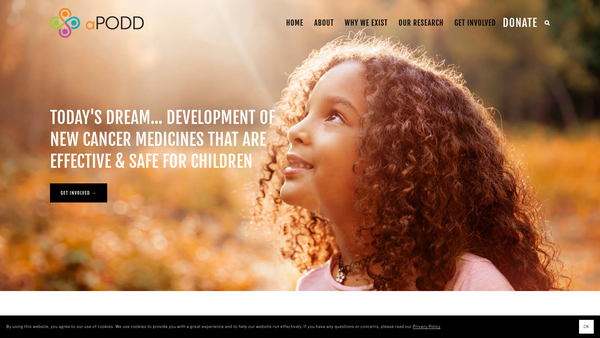Screenshot of the Apodd Foundation website