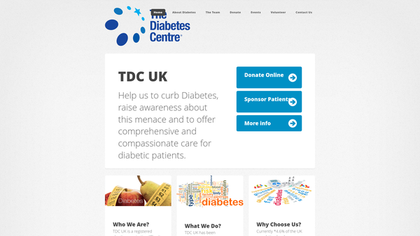 Screenshot of the The Diabetes Centre website