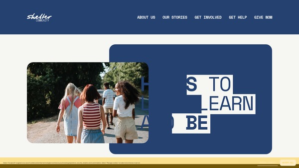Screenshot of the Shelter Community website