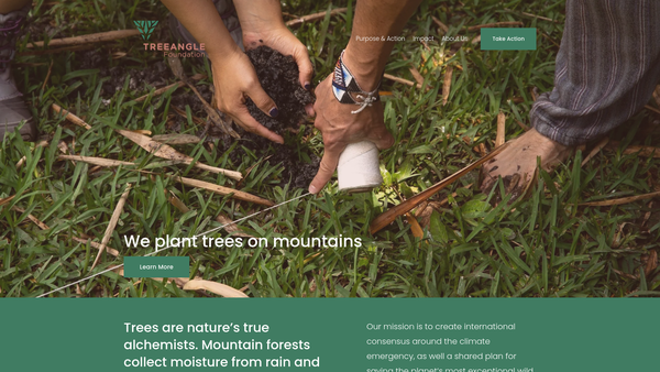 Screenshot of the Treeangle Foundation website