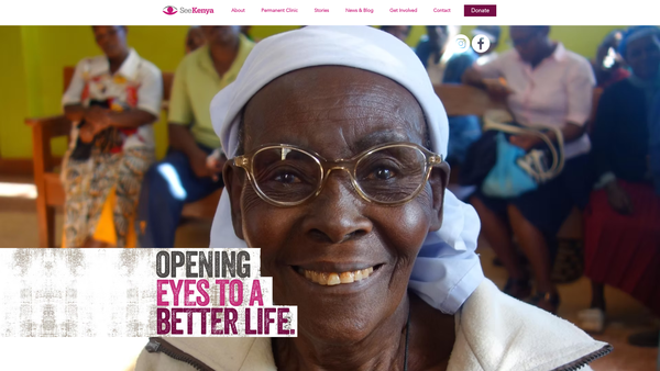 Screenshot of the Seekenya website