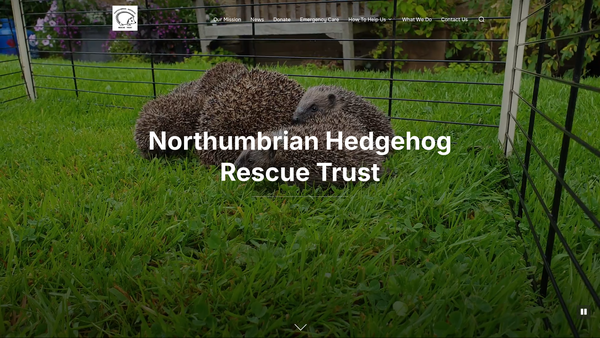 Screenshot of the Northumbrian Hedgehog Rescue Trust website