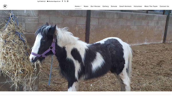 Screenshot of the Horse Sense Wirral website