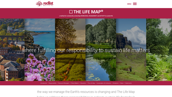Screenshot of the The Life Map Foundation website