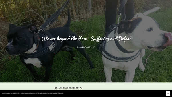 Screenshot of the Radar Dog Rescue website
