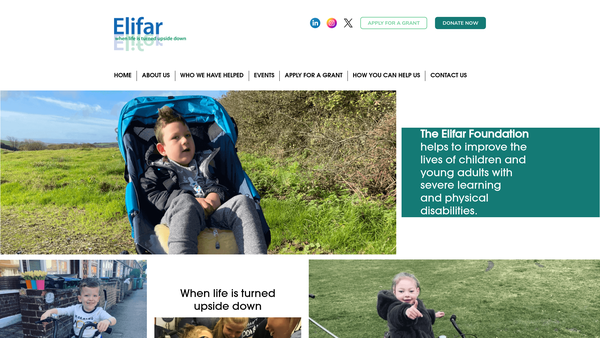 Screenshot of the Elifar Foundation Limited website