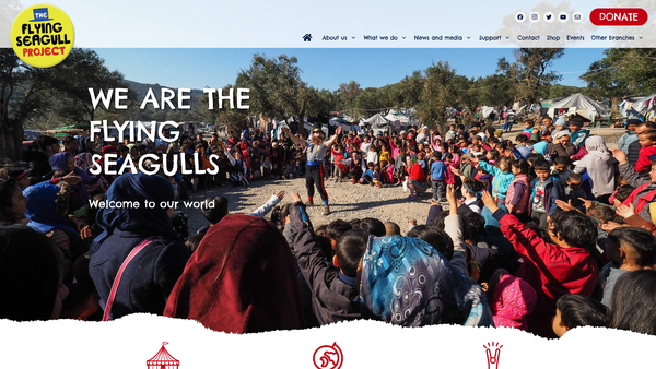 Screenshot of the The Flying Seagull Project website