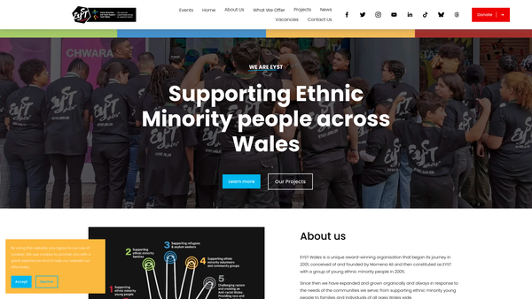 Screenshot of the Ethnic Youth Support Team website