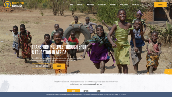 Screenshot of the Bhubesi Pride Foundation website