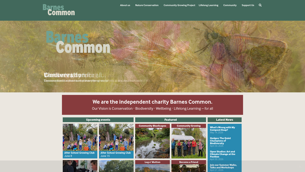 Screenshot of the Barnes Common Limited website