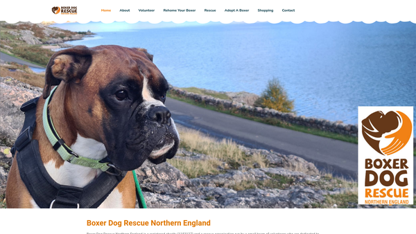 Screenshot of the Boxer Dog Rescue Northern England website
