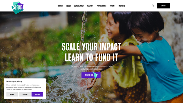 Screenshot of the Spring Impact website