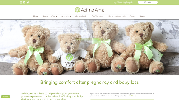 Screenshot of the Aching Arms website