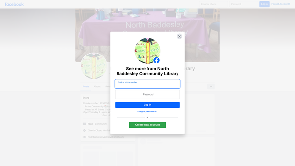 Screenshot of the Friends Of North Baddesley Library website