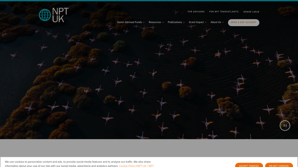 Screenshot of the NPT Transatlantic Limited website