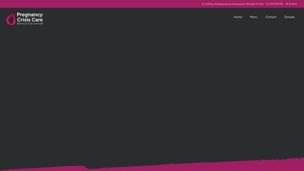 Screenshot of the Pregnancy Crisis Care (Plymouth & Se Cornwall) website