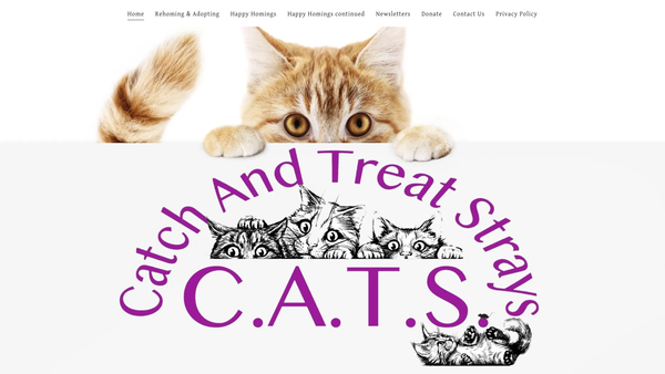 Screenshot of the C.a.t.s. (Catch And Treat Strays) website