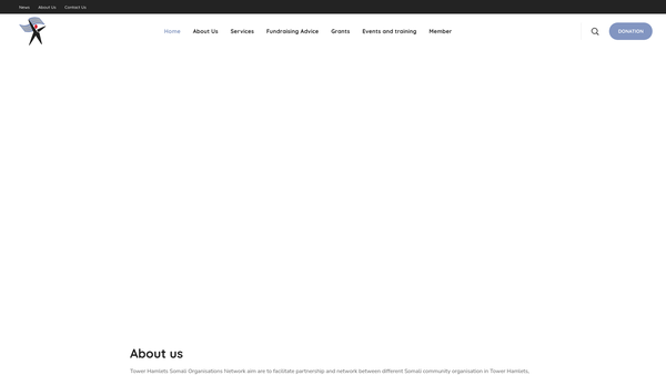 Screenshot of the Tower Hamlets Somali Organisations Network website