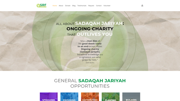 Screenshot of the Seeking Reward Foundation website
