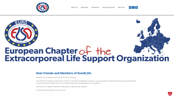 Screenshot of the Euroelso Associates website