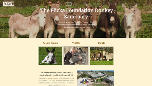 Screenshot of the The Flicka Foundation website