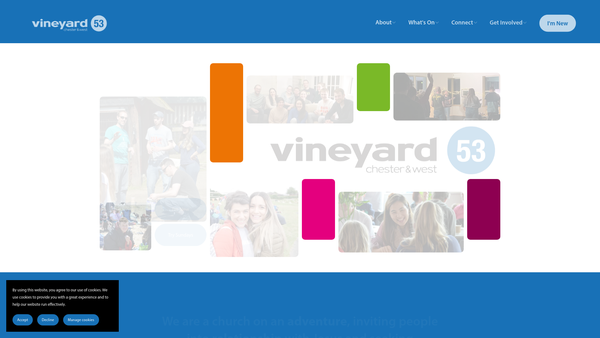 Screenshot of the Vineyard 53 website