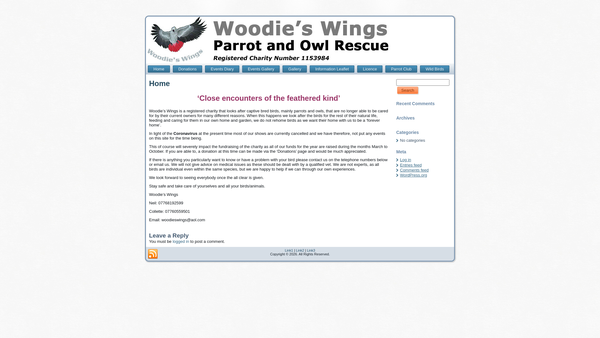 Screenshot of the Woodie's Wings website