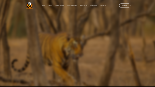 Screenshot of the China Tiger Revival (UK) website