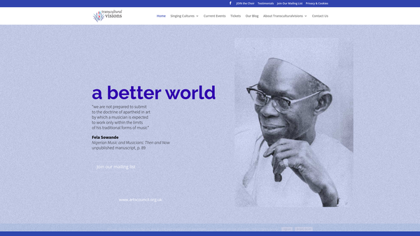 Screenshot of the Transculturalvisions website