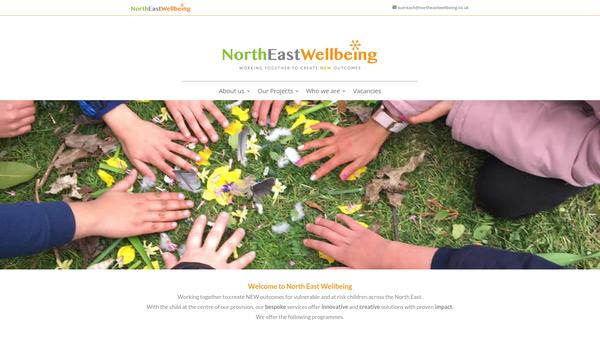 Screenshot of the North East Wellbeing website