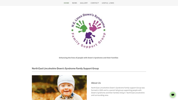 Screenshot of the The North East Lincolnshire Down's Syndrome Family Support Group website