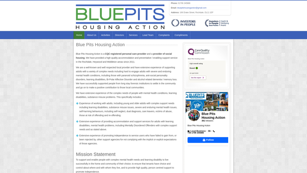 Screenshot of the Blue Pits Housing Action website