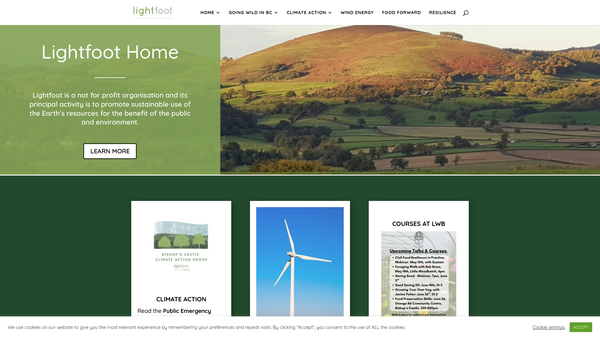 Screenshot of the Light Foot Enterprises website