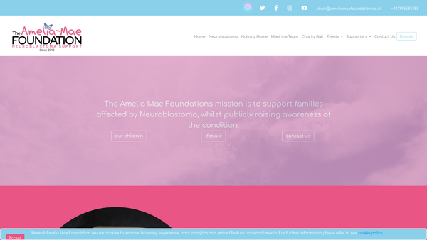 Screenshot of the The Amelia-Mae Foundation website