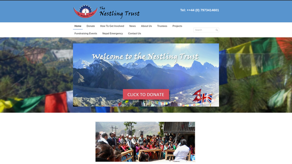 Screenshot of the The Nestling Trust website