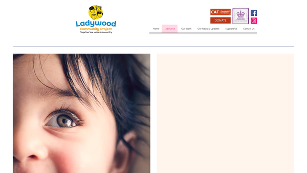 Screenshot of the Ladywood Community Project website