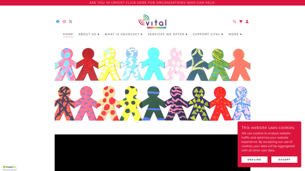 Screenshot of the Vital Projects website