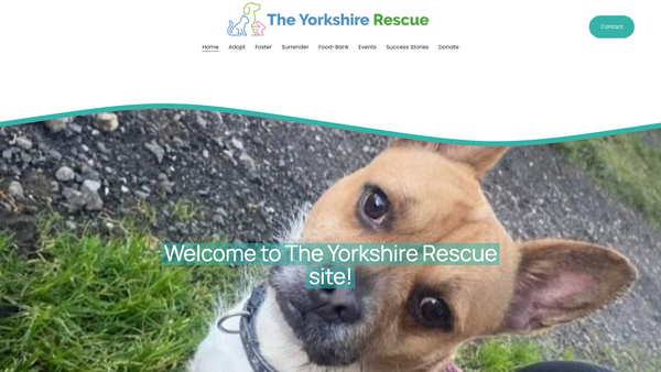 Screenshot of the Moorview Rescue Limited website