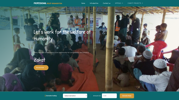 Screenshot of the Professional Relief Organisation (Pro) website