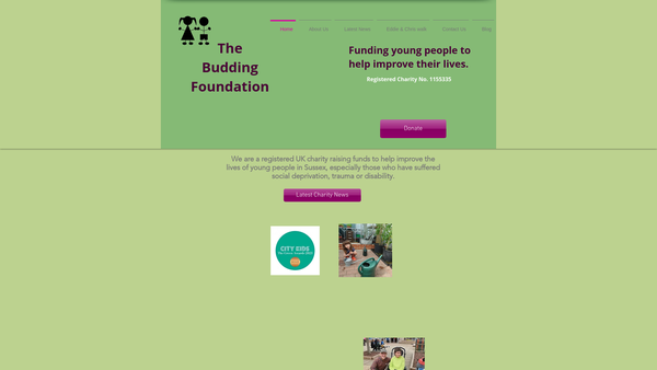 Screenshot of the The Budding Foundation website