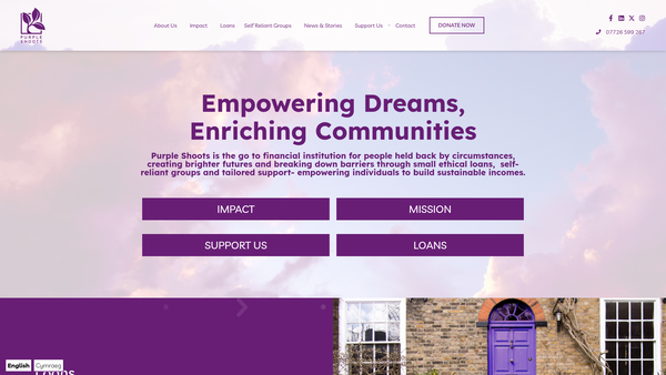 Screenshot of the Purple Shoots Business Lending Ltd website