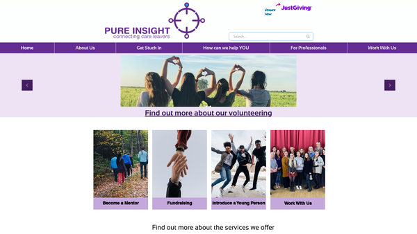 Screenshot of the Pure Insight 1628 website