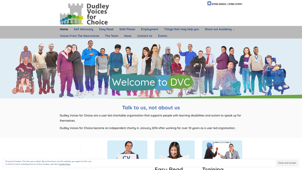 Screenshot of the Dudley Voices For Choice website