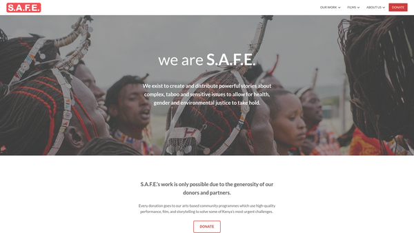 Screenshot of the S.a.f.e.: Arts For Education website